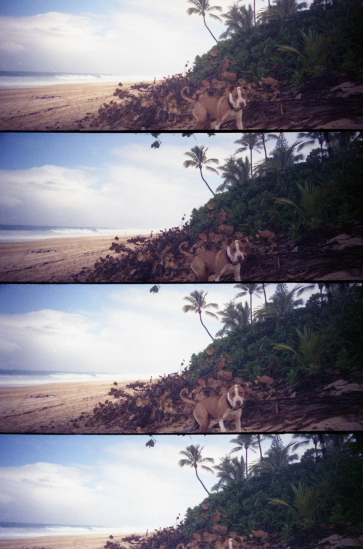 Lomo4,2.JPG