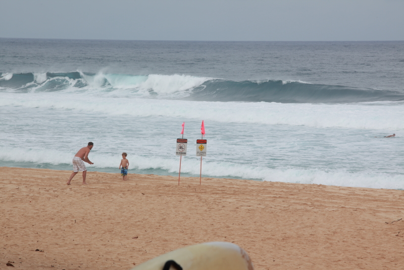 Oafu Efukai Beach Hawaii