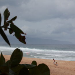 Oafu Efukai Beach Hawaii