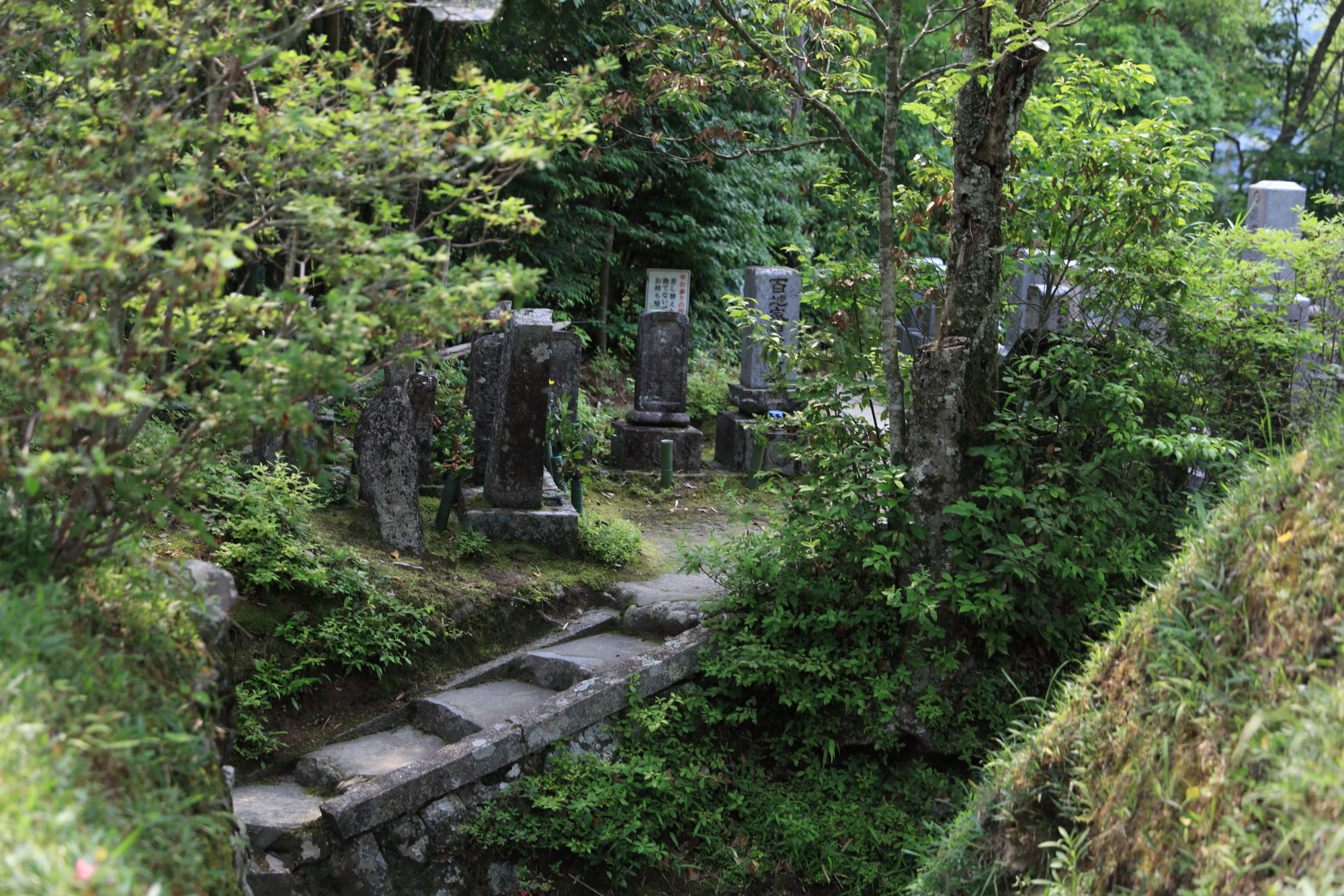 伊賀忍供養　比自山 藤堂貴久お堂  金毘羅  百田不動 田矢城  服部半蔵保長  百地丹波守  藤林長門守  手力神社