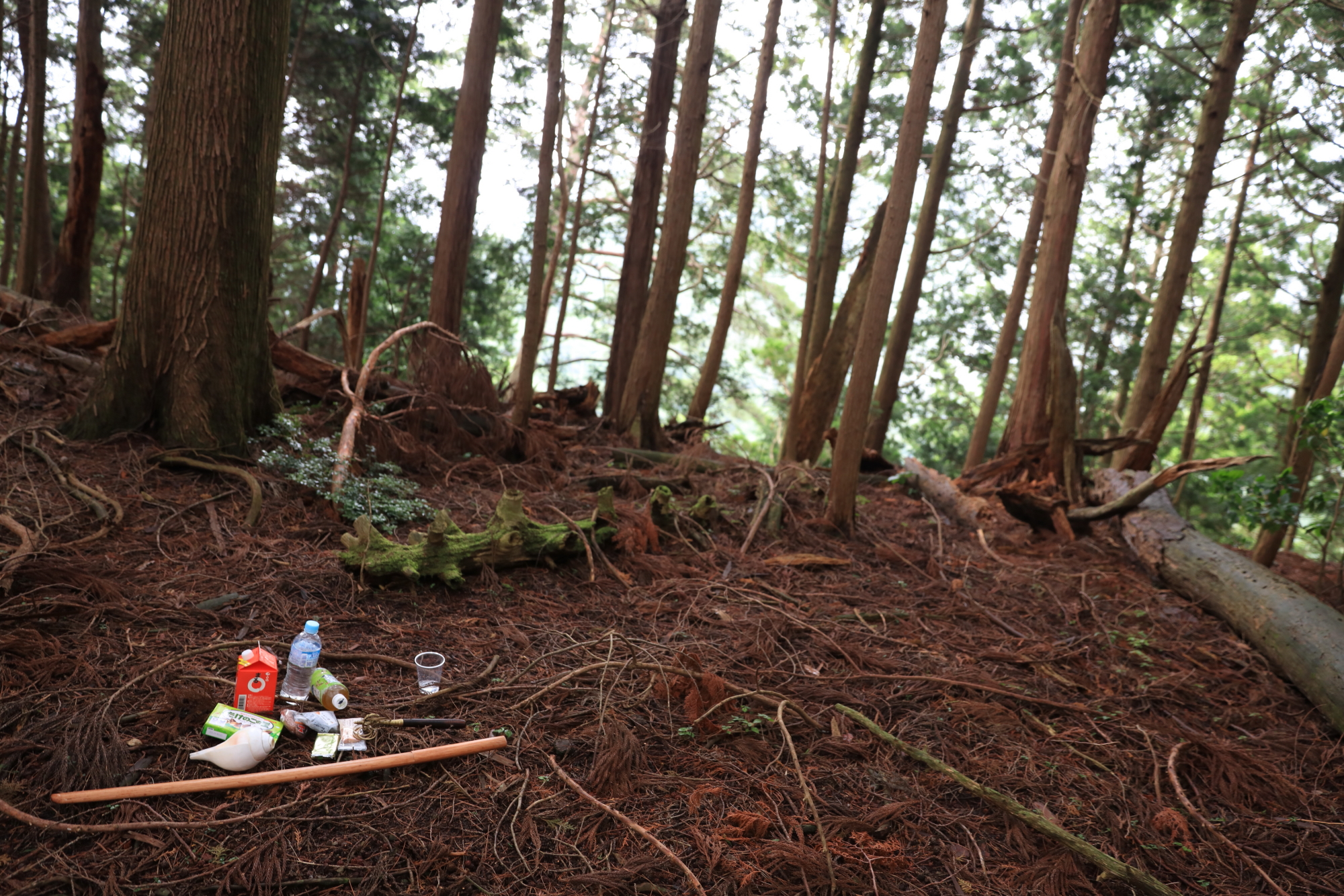甲賀忍供養　油日神社　飯道山　望月出雲守　頓宮城　