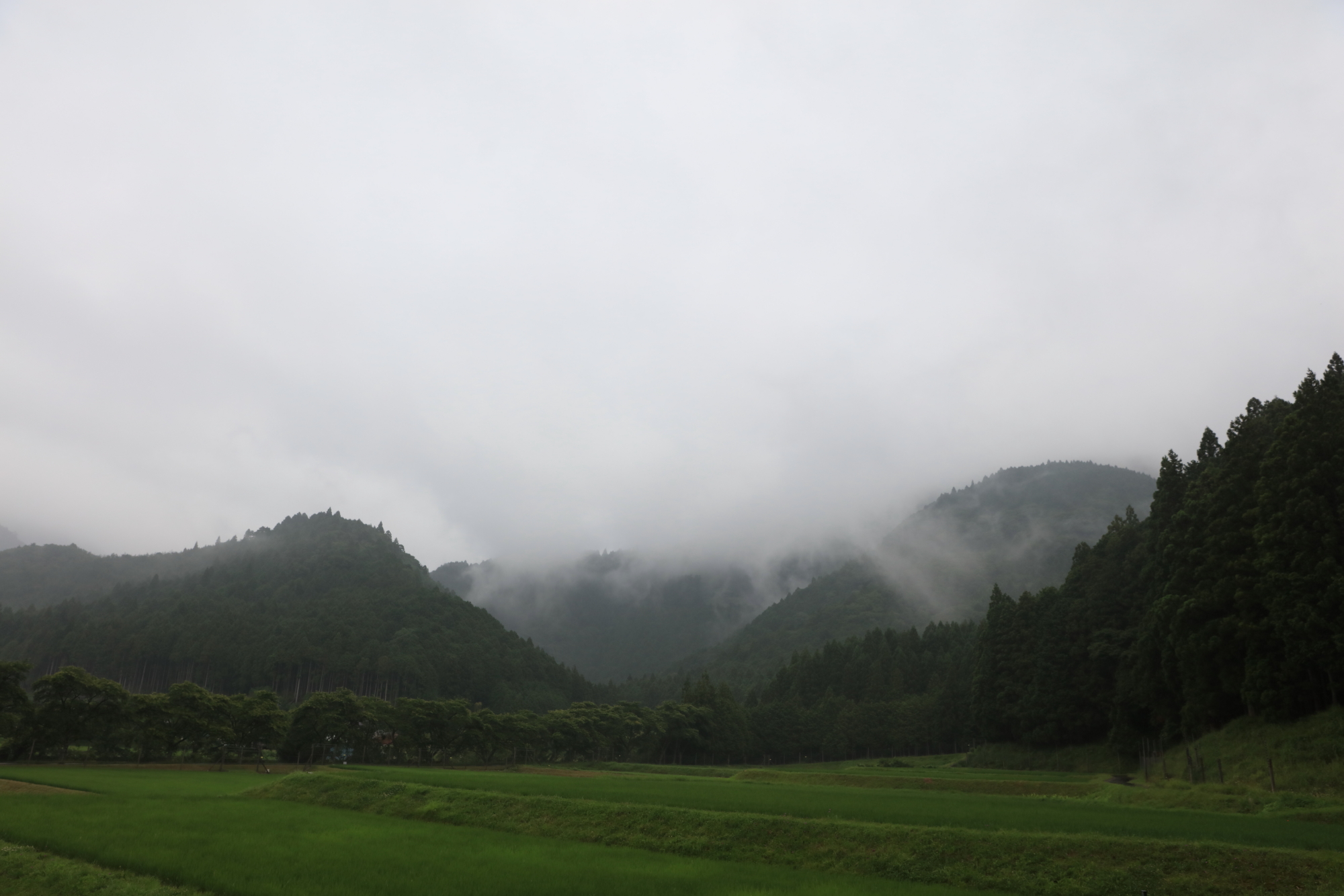 甲賀忍供養　油日神社　飯道山　望月出雲守　頓宮城　