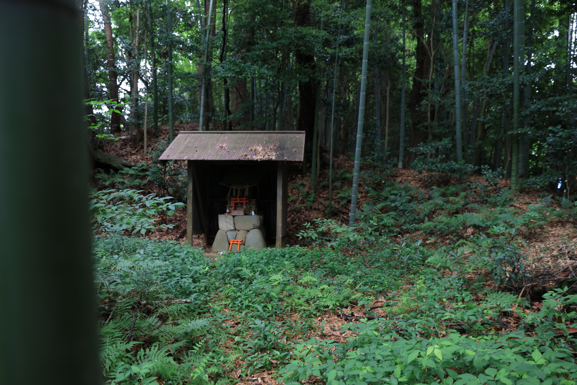 甲賀忍供養　油日神社　飯道山　望月出雲守　頓宮城　
