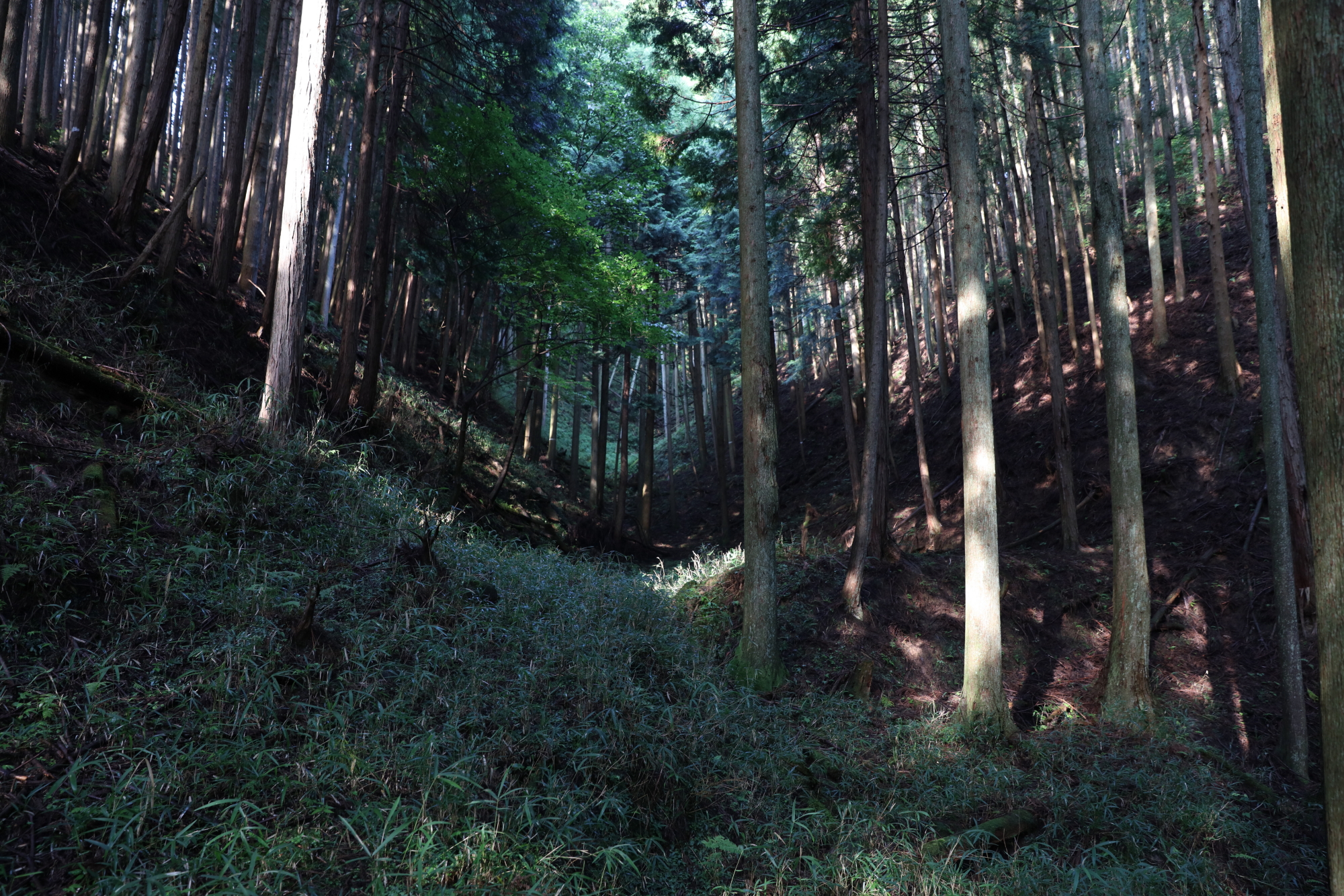 忍供養　壬生野　音羽（音羽半六宗重）種生　弥勒寺　雨乞山　阿波（植田豊前守）