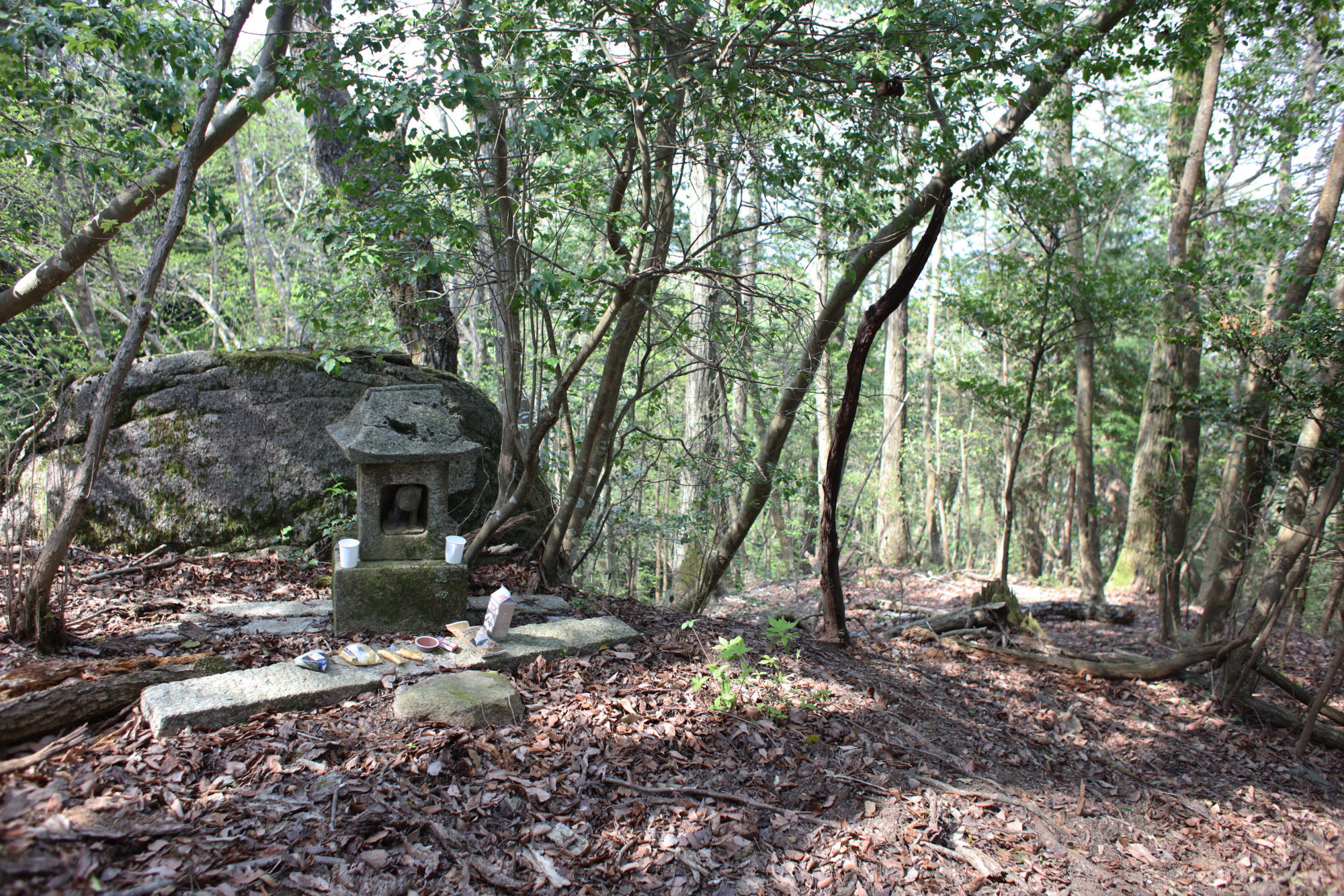 伊賀忍供養　比自山 藤堂貴久お堂  金毘羅  百田不動 田矢城  服部半蔵保長  百地丹波守  藤林長門守  手力神社