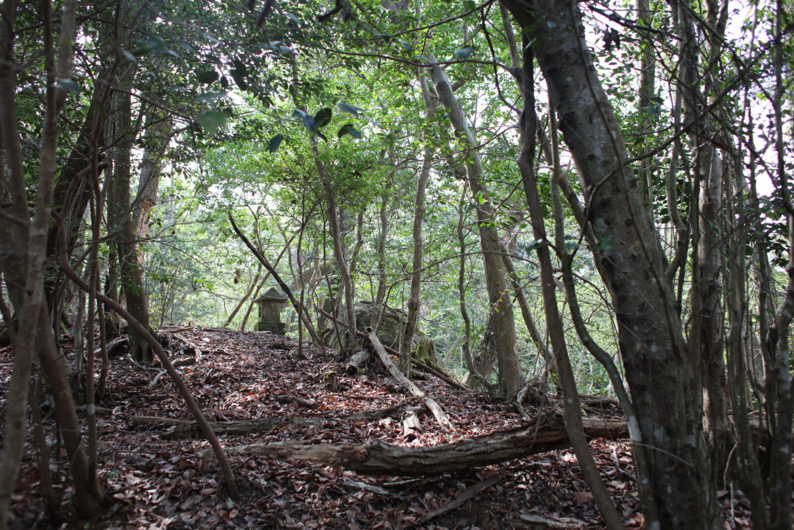 伊賀忍供養　比自山 藤堂貴久お堂  金毘羅  百田不動 田矢城  服部半蔵保長  百地丹波守  藤林長門守  手力神社