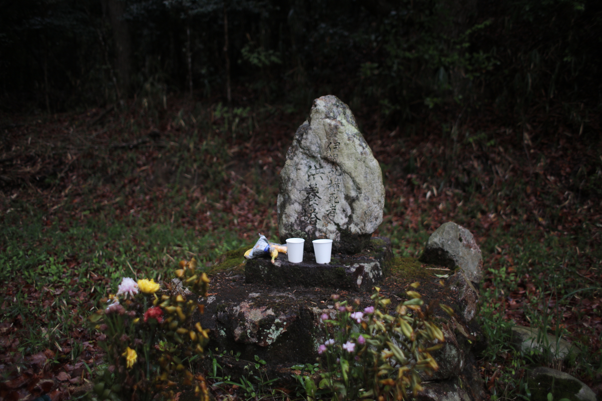 伊賀忍供養　比自山 藤堂貴久お堂  金毘羅  百田不動 田矢城  服部半蔵保長  百地丹波守  藤林長門守  手力神社