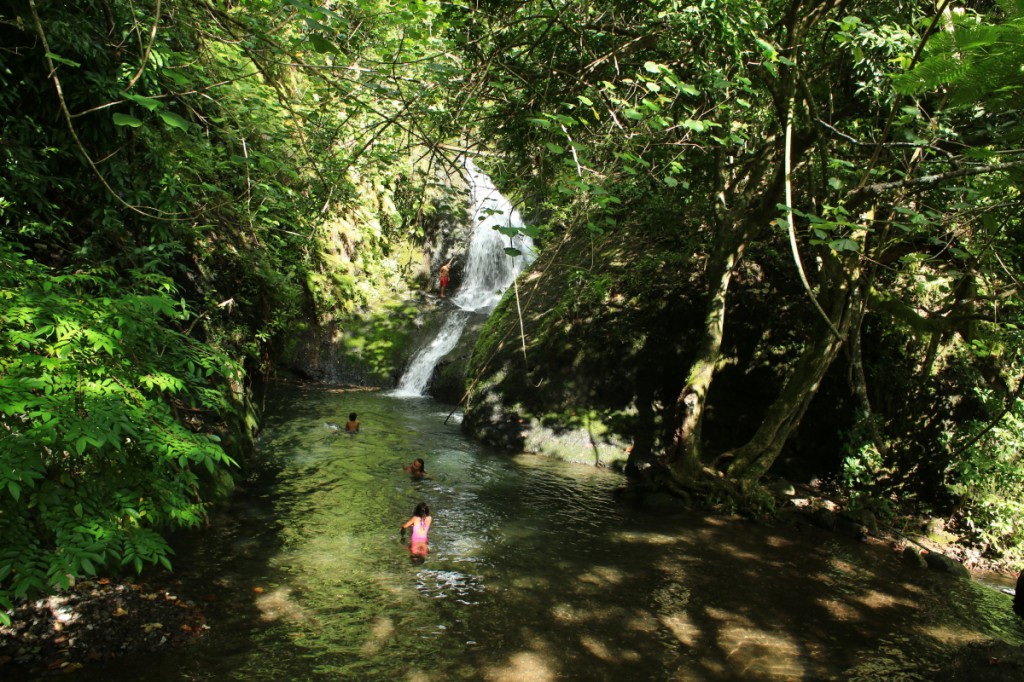 Rlotonga Island Cook islands