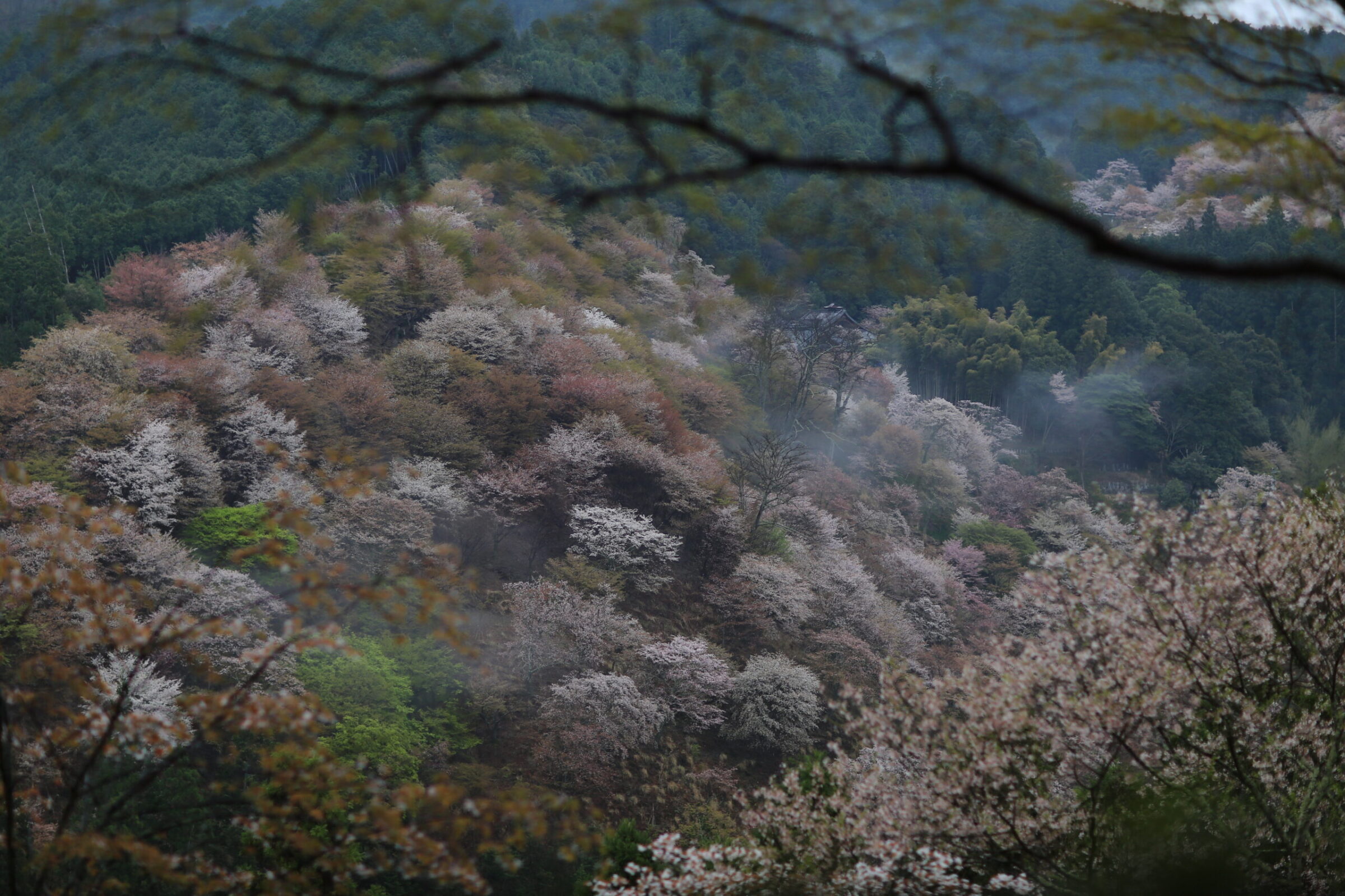 吉野山 金峯山寺