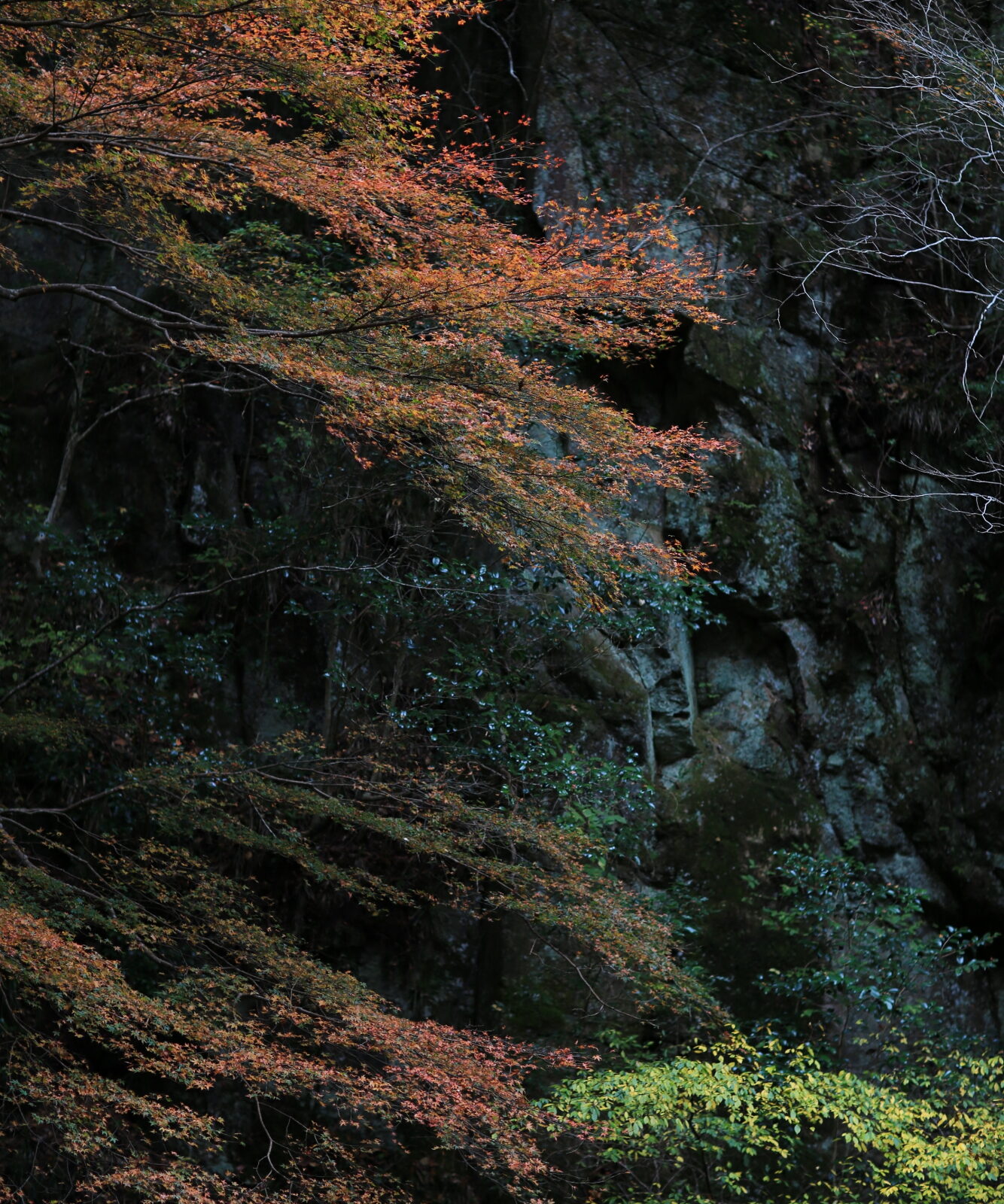 伊賀  赤目48瀧 天台宗 延寿院