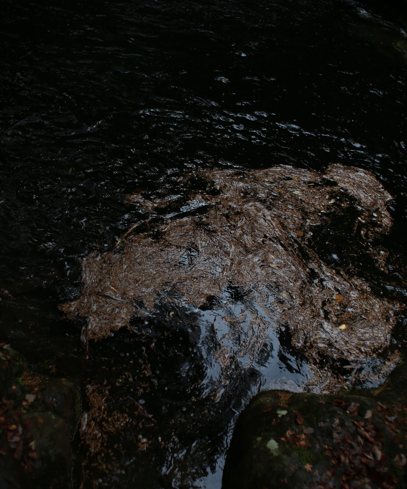 伊賀  赤目48瀧 天台宗 延寿院
