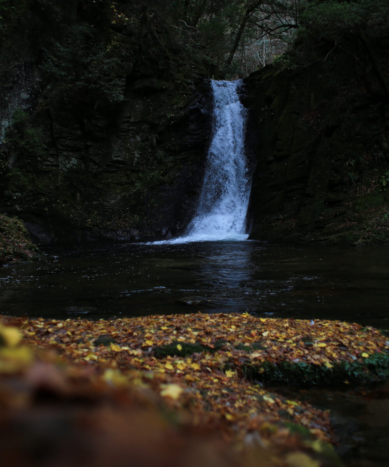 伊賀  赤目48瀧 天台宗 延寿院