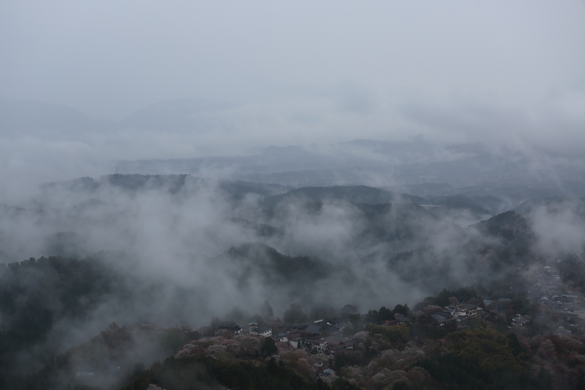 吉野山 金峯山寺