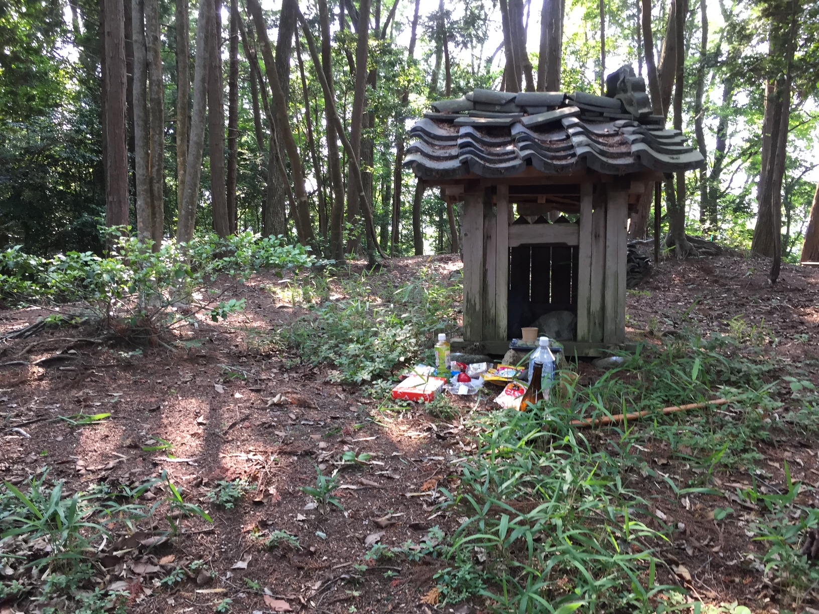 忍供養　壬生野　音羽（音羽半六宗重）種生　弥勒寺　雨乞山　阿波（植田豊前守）