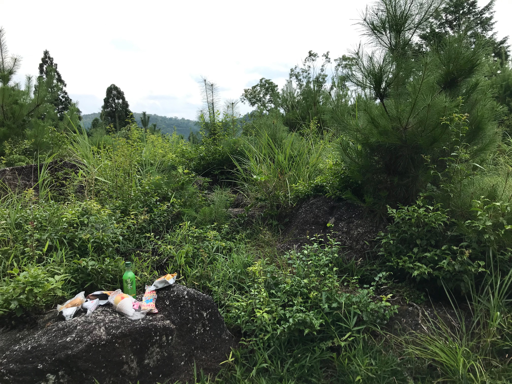 忍供養　壬生野　音羽（音羽半六宗重）種生　弥勒寺　雨乞山　阿波（植田豊前守）