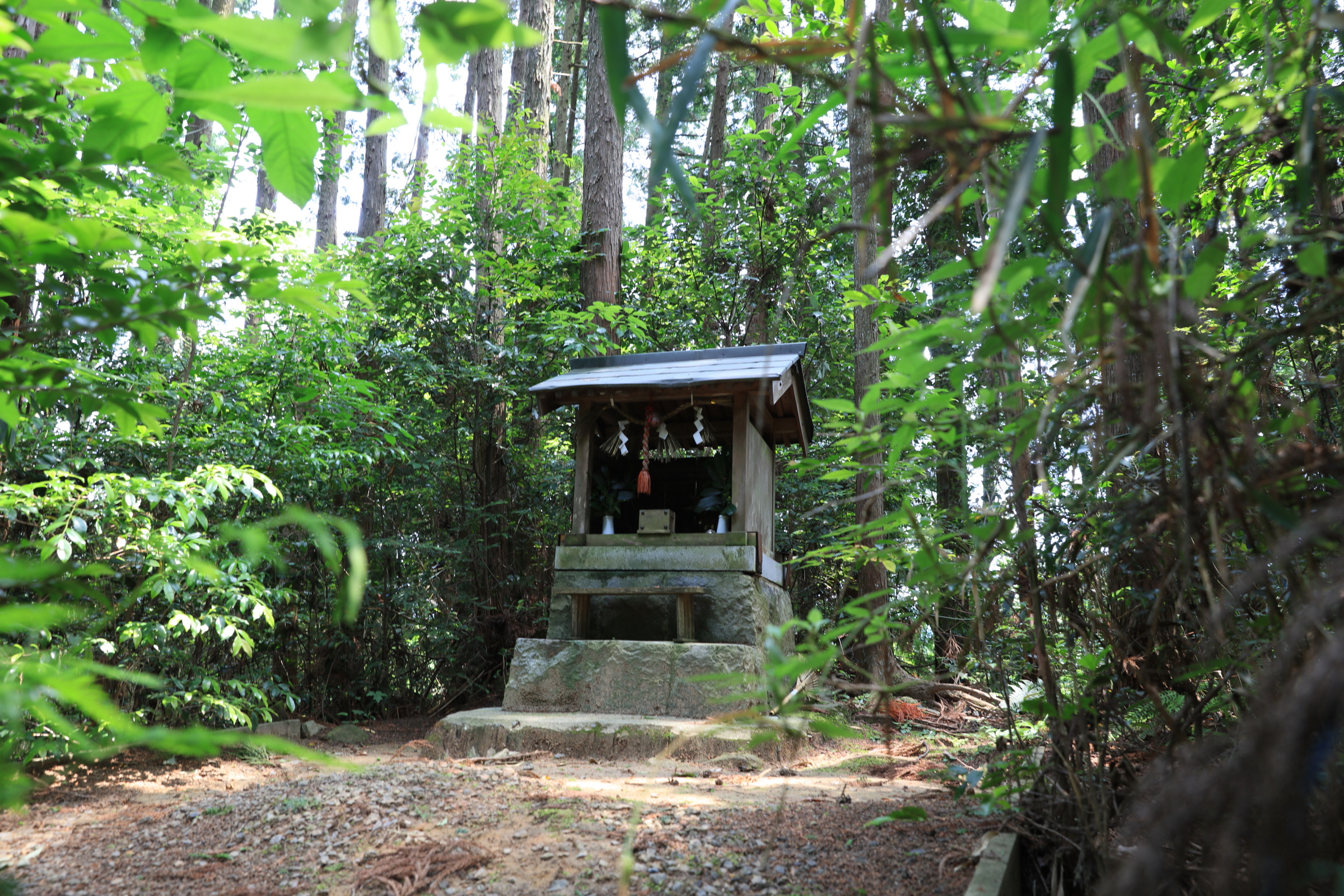 忍供養　壬生野 音羽城（音羽半六宗重）種生  弥勒寺  雨乞山  阿波植田城（植田豊前守光使）掛田城（富増伊予守）