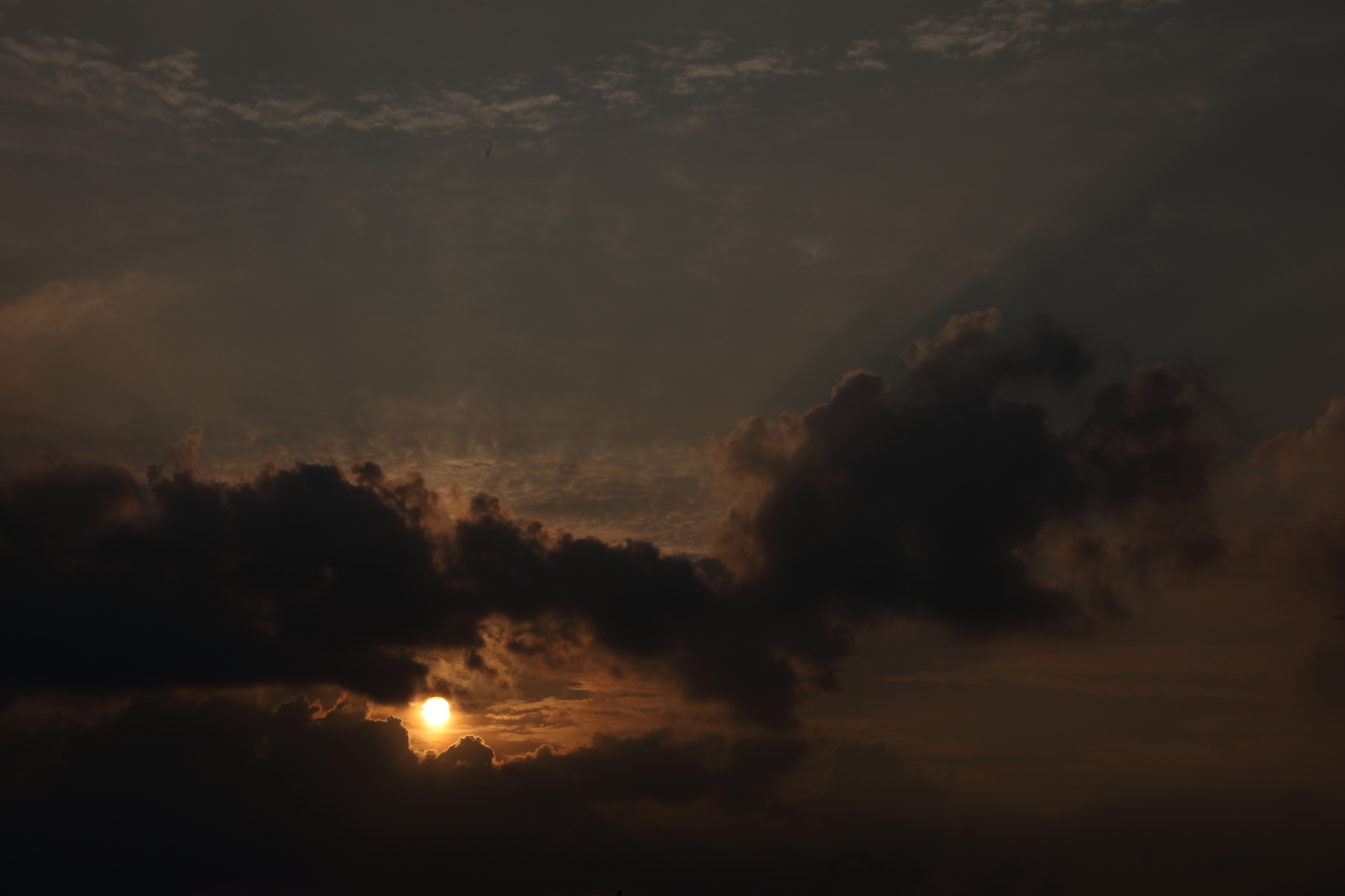 忍供養　壬生野 音羽城（音羽半六宗重）種生  弥勒寺  雨乞山  阿波植田城（植田豊前守光使）掛田城（富増伊予守）