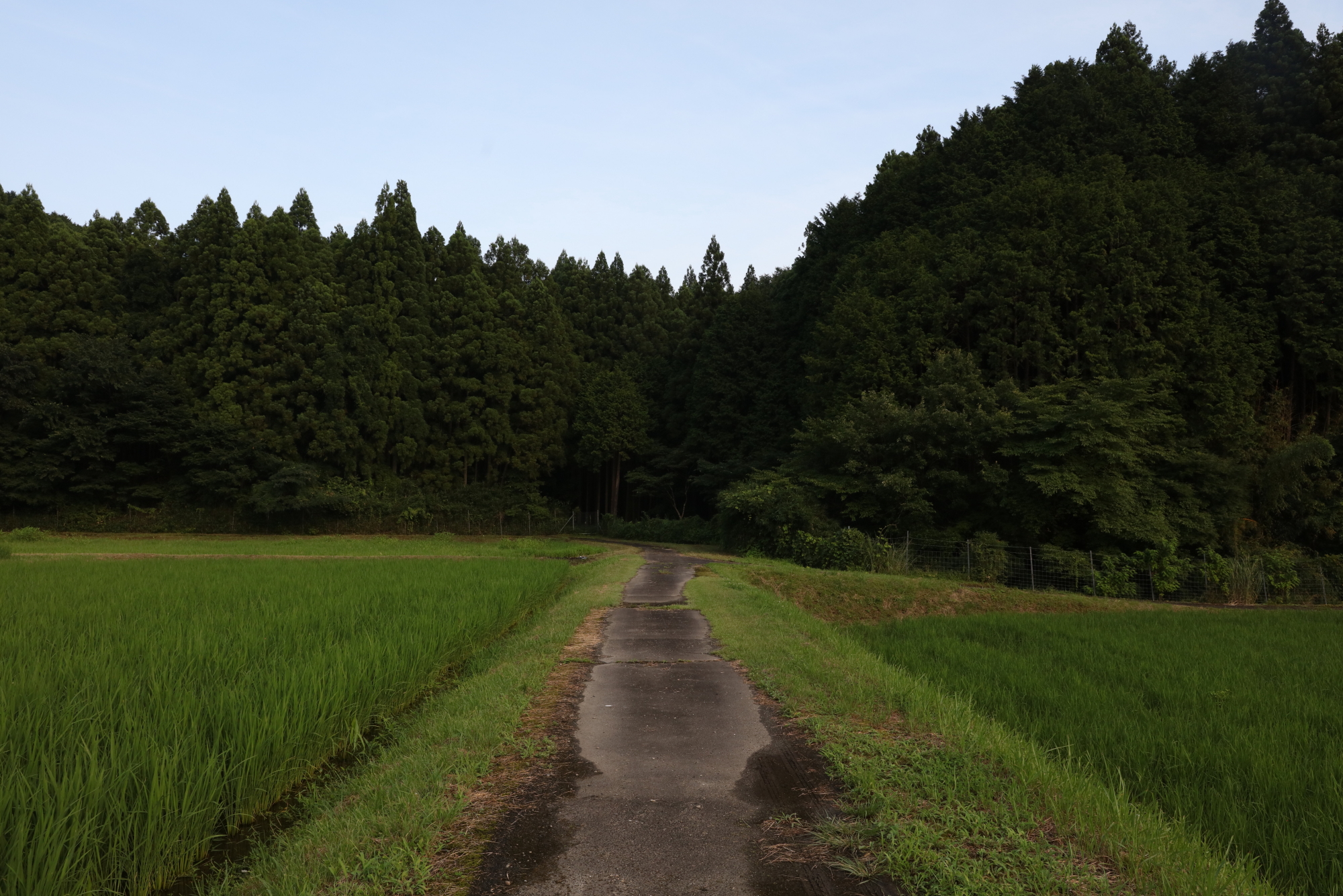 忍供養　壬生野　音羽（音羽半六宗重）種生　弥勒寺　雨乞山　阿波（植田豊前守）