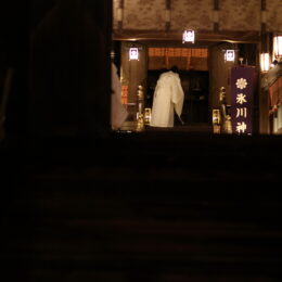 氷川神社　Hikawa Shrine 2023-2025