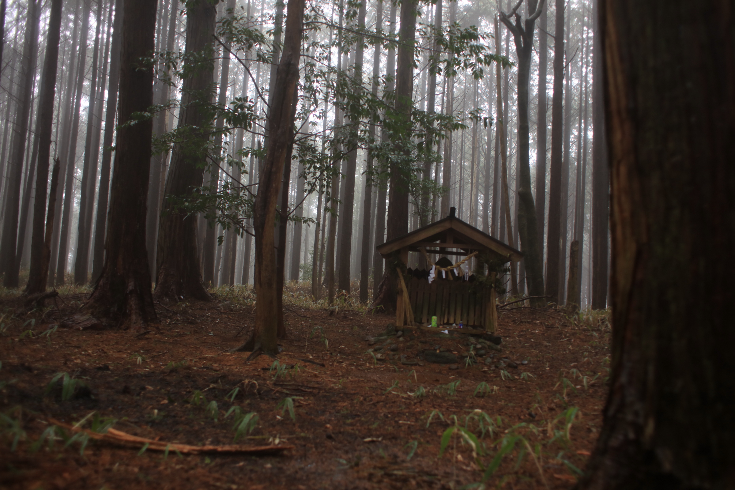 忍供養　壬生野 音羽城（音羽半六宗重）種生  弥勒寺  雨乞山  阿波植田城（植田豊前守光使）掛田城（富増伊予守）