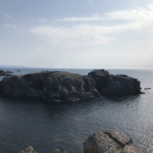 izumo